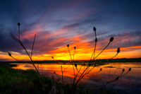_DSC2229 Redo 2025