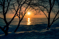 Featured Photographs