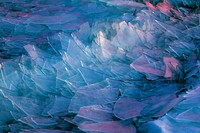 IMG_8969 Redo Crop